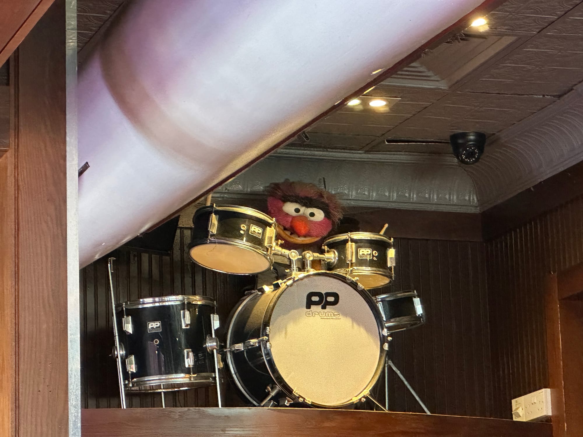 The image shows Animal, from The Muppets, playing the drums