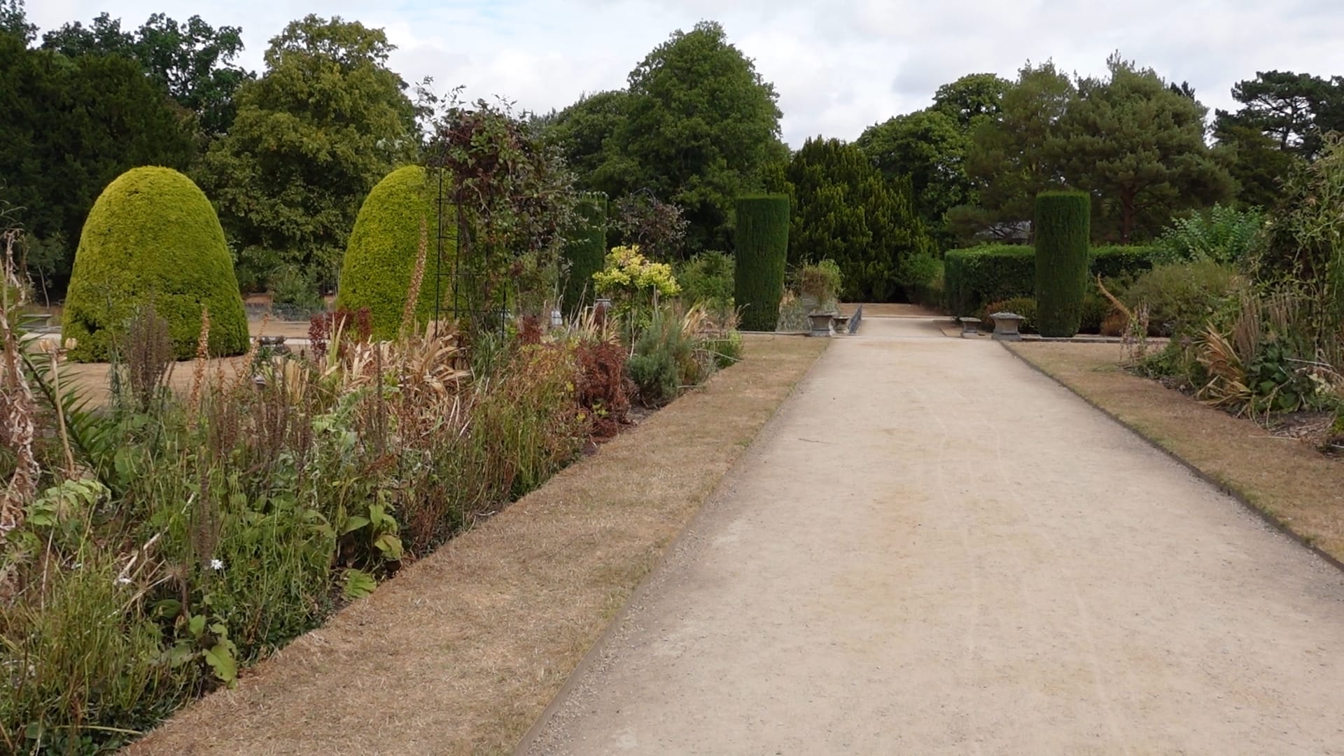 A path with plants and trees on either side of it