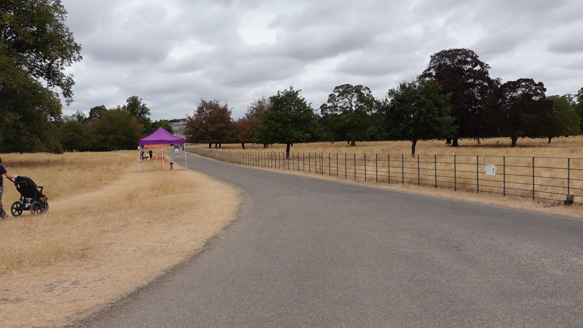A view down a long road towards the mansion, which can just about be seen in the distance. There is a fence on the right of the road, some trees either side, and scorched grass either side 