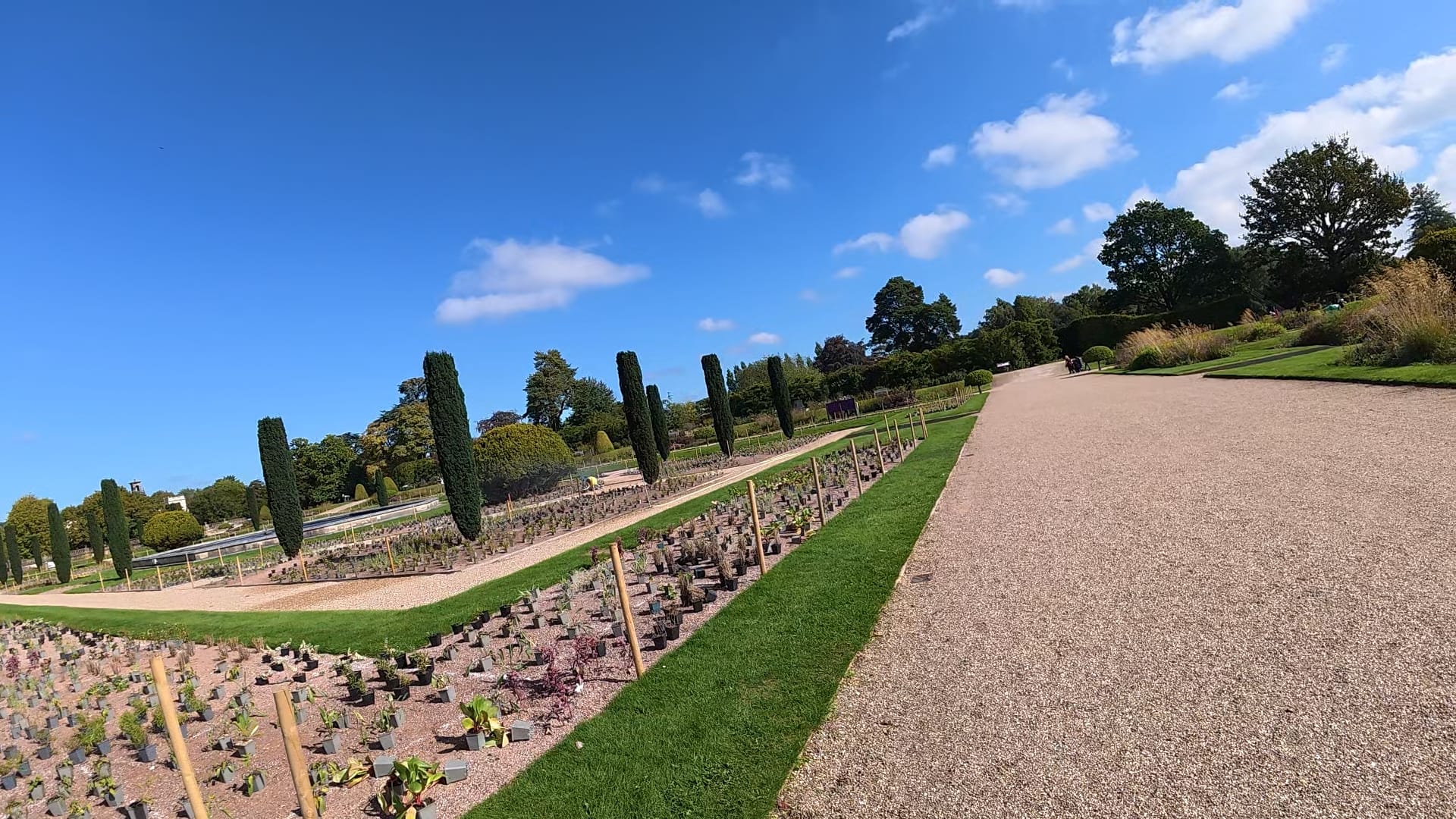 A view over another part of the gardens, where plant pots have been laid out among the stakes and painted markings