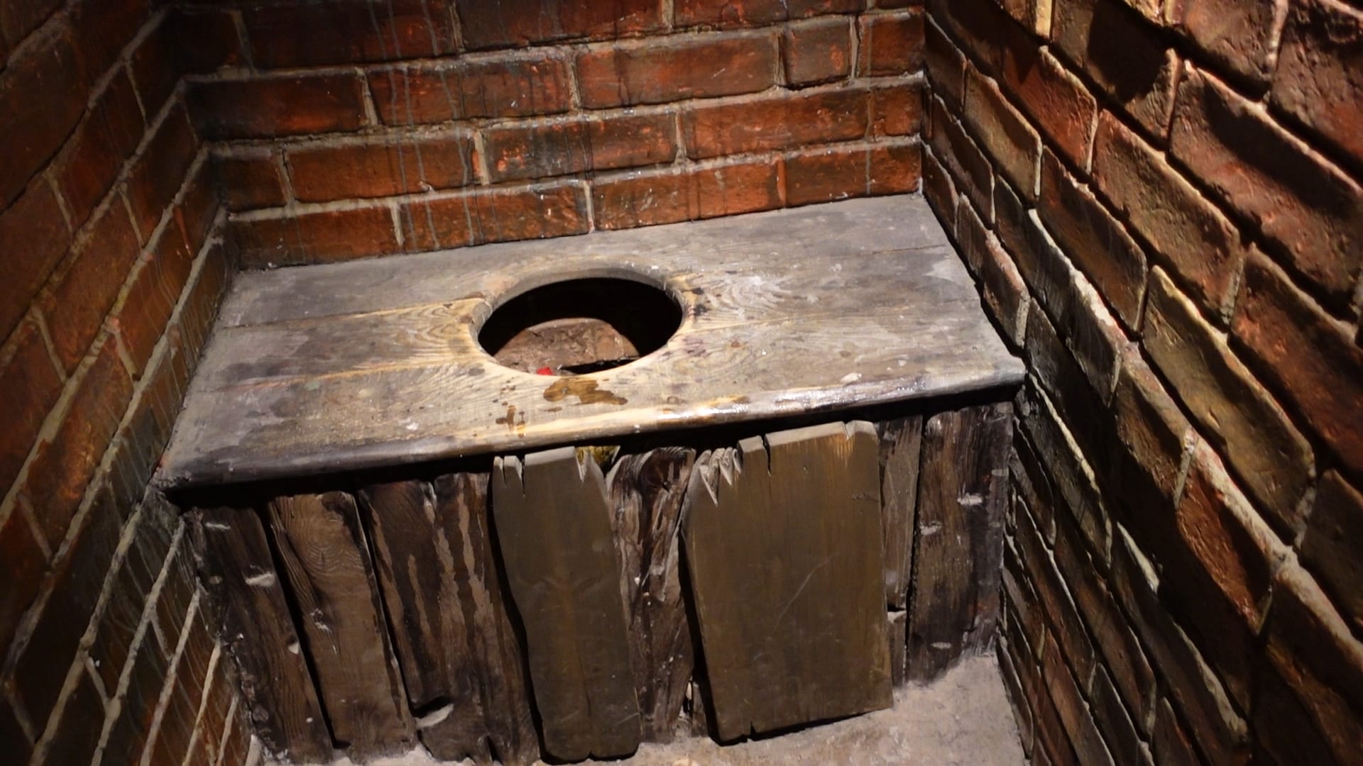 An old wooden privy. It has some stains in front of the hole and we can just about see the top of a hen's head in the privy.