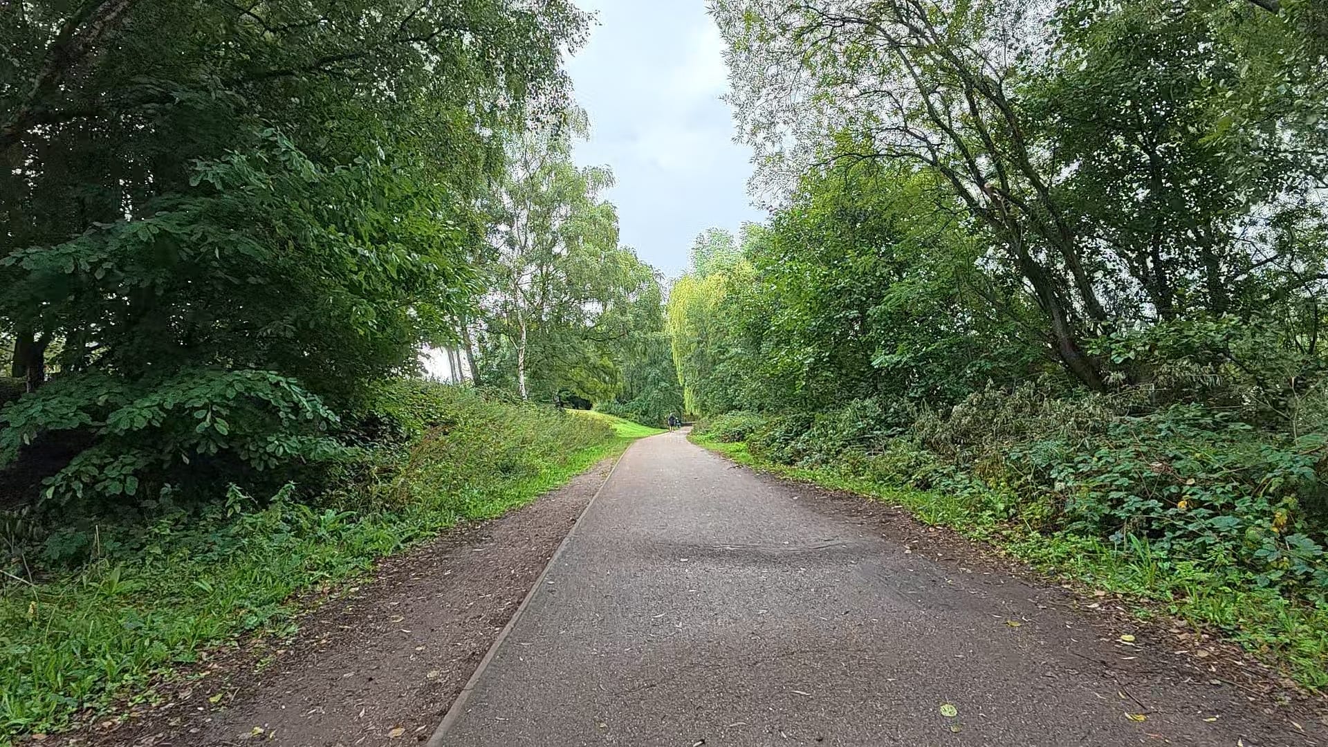 The path that you cycle on at Westport Lake. We can see some bumps in it caused by tree roots.