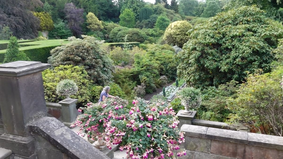 A view from the top of some stone steps, over the garden, with flowers, trees and hedges