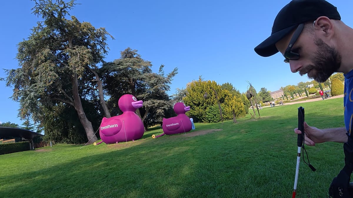 Two giant, inflatable purple ducks viewed sideways on. There is white writing on the side that reads Trentham